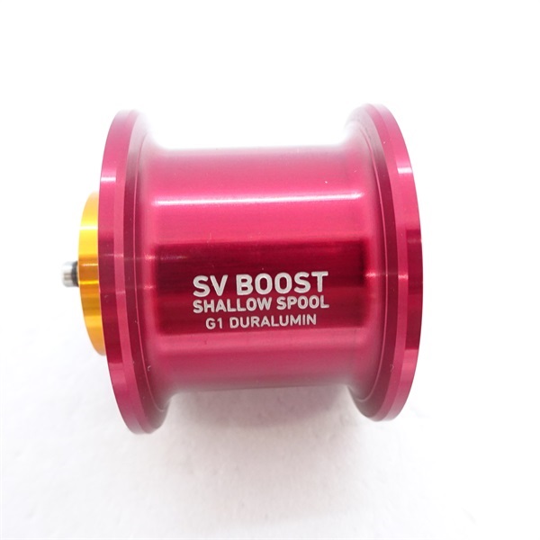ＲＣＳＢＳＶＢ１０００ＳＳＰＬＧ１／ＲＤ